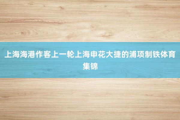 上海海港作客上一轮上海申花大捷的浦项制铁体育集锦