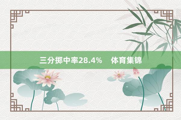 三分掷中率28.4%    体育集锦