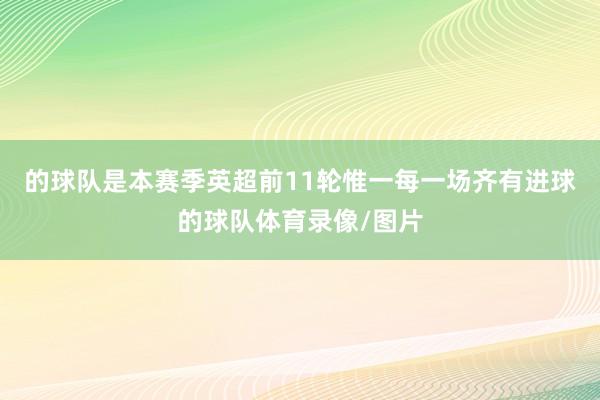 的球队是本赛季英超前11轮惟一每一场齐有进球的球队体育录像/图片