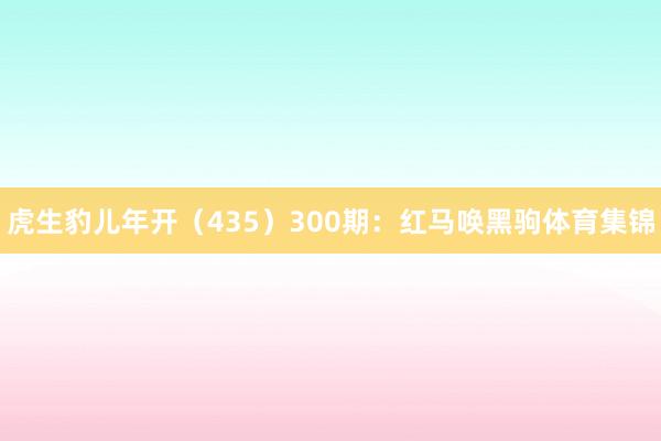 虎生豹儿年开（435）　　300期：红马唤黑驹体育集锦