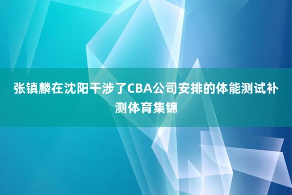 张镇麟在沈阳干涉了CBA公司安排的体能测试补测体育集锦