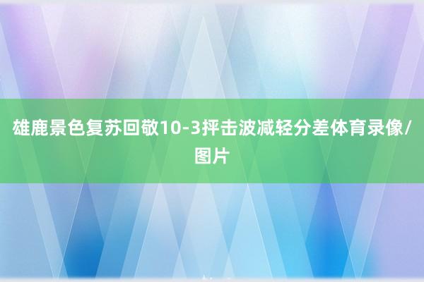 雄鹿景色复苏回敬10-3抨击波减轻分差体育录像/图片